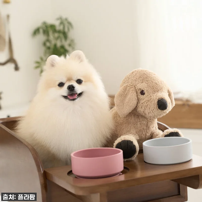 우리 강아지 식사시간이 달라졌어요! 관련 이미지 8