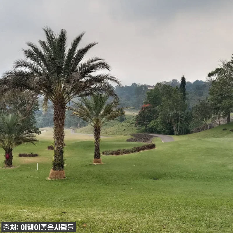 필리핀 따가이따이 카시아나 3색골프 관련 이미지 8