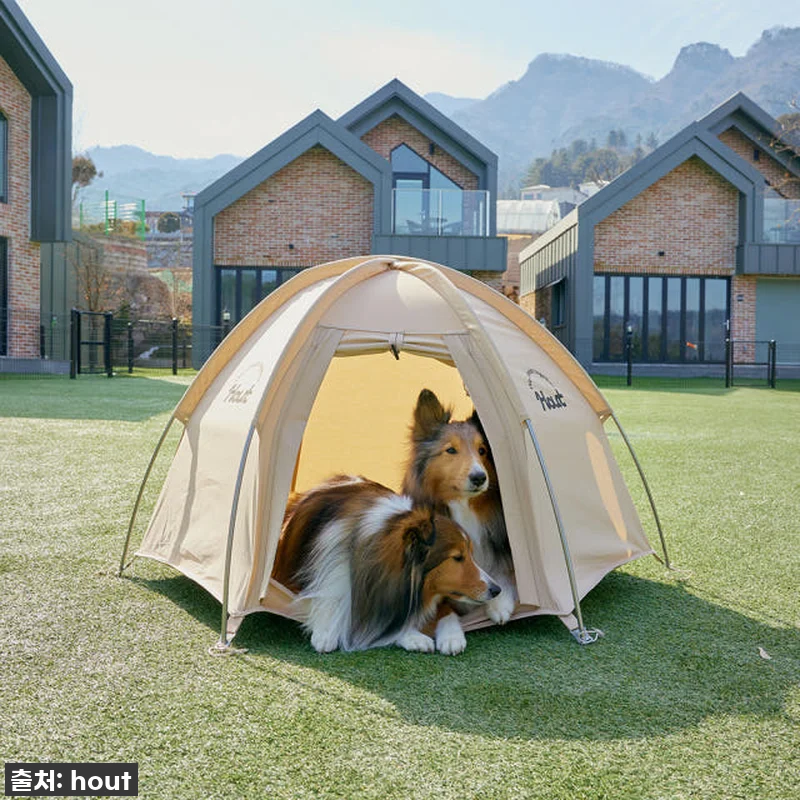 우리 강아지 인생 텐트 발견! '하웃 관련 이미지 7