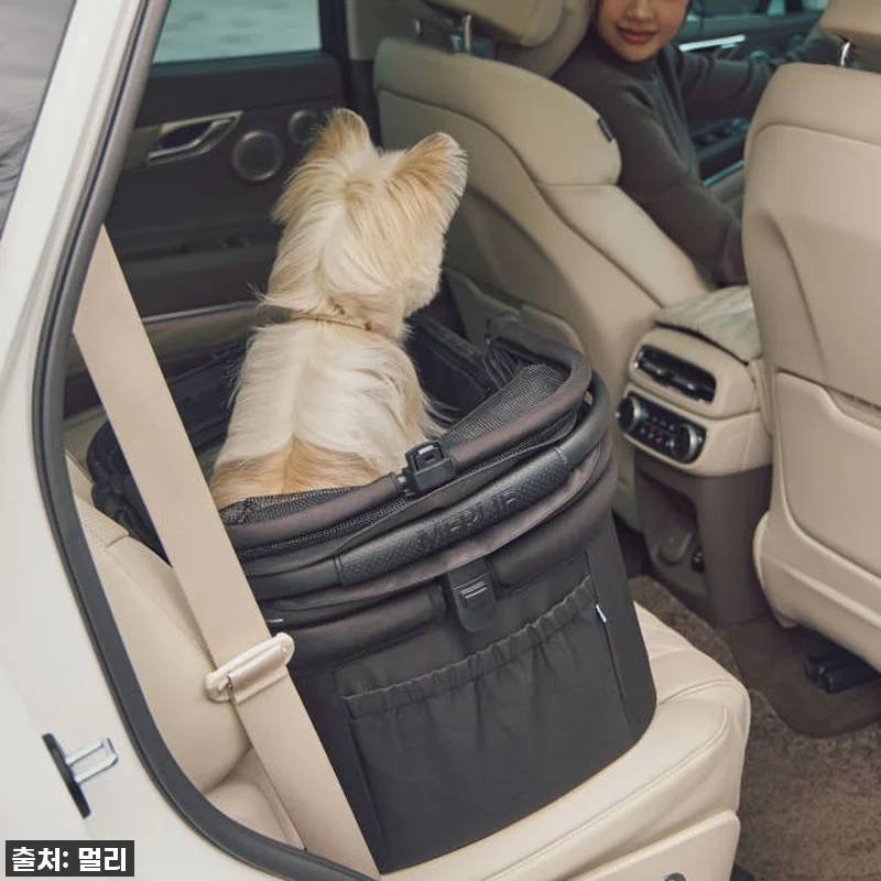 이 가격 실화?! 멀리 에어바퀴 강아 관련 이미지 9