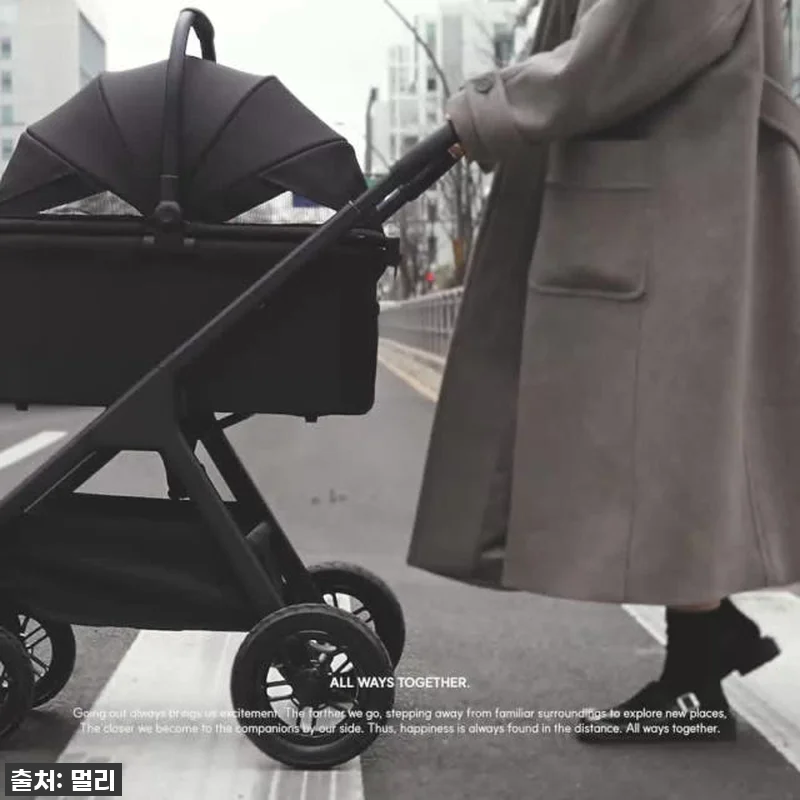 이 가격 실화?! 멀리 에어바퀴 강아 관련 이미지 10