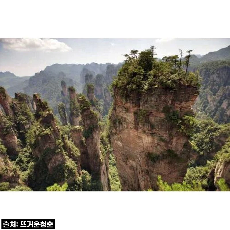 장가계 국립 삼림 공원, 나만의 속도로 즐긴 프라이빗 투어 솔직 후기!