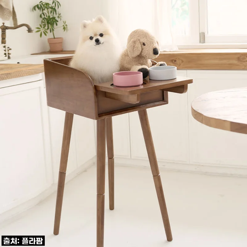 우리 강아지 식사시간이 달라졌어요! 플라팜 펫체어, 이거 완전 강추템!