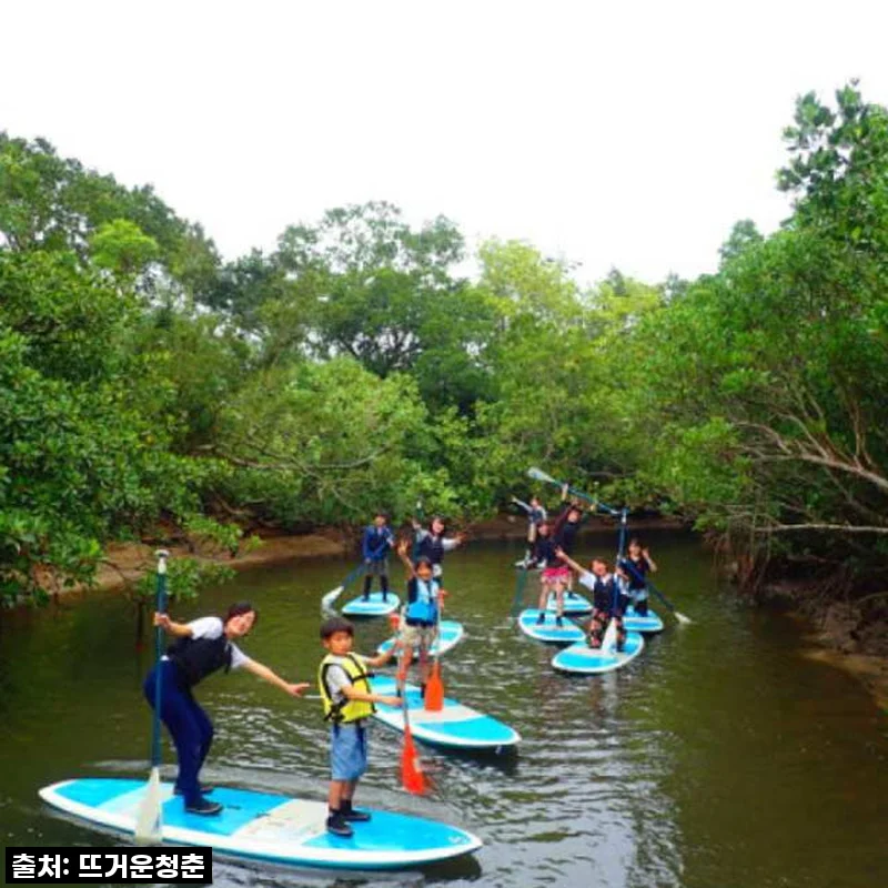 꿈 같았던 오키나와 이리오모테섬 프라이빗 투어, 직접 다녀온 솔직 후기!