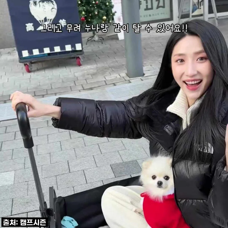 캠프시즌 프리미엄 전동 캠핑 웨건, 힘들었던 캠핑 짐 옮기기 이젠 안녕!