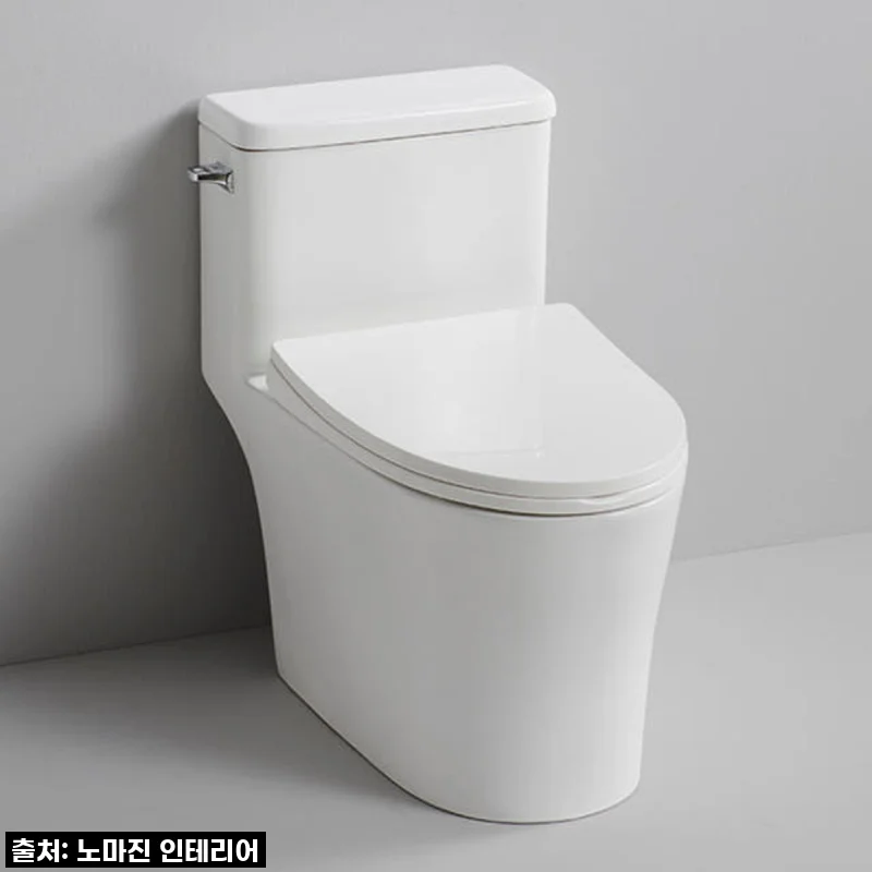 우리 집 화장실의 품격을 높여줄 대림바스 CC283 특대형 원피스 치마형 양변기 설치 후기