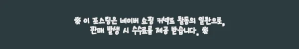 랑방 콘체르토 토트백 LWBGSRS1TOPSE23 101, 직접 사용해 본 고급스러운 매력 4 이해관계문구