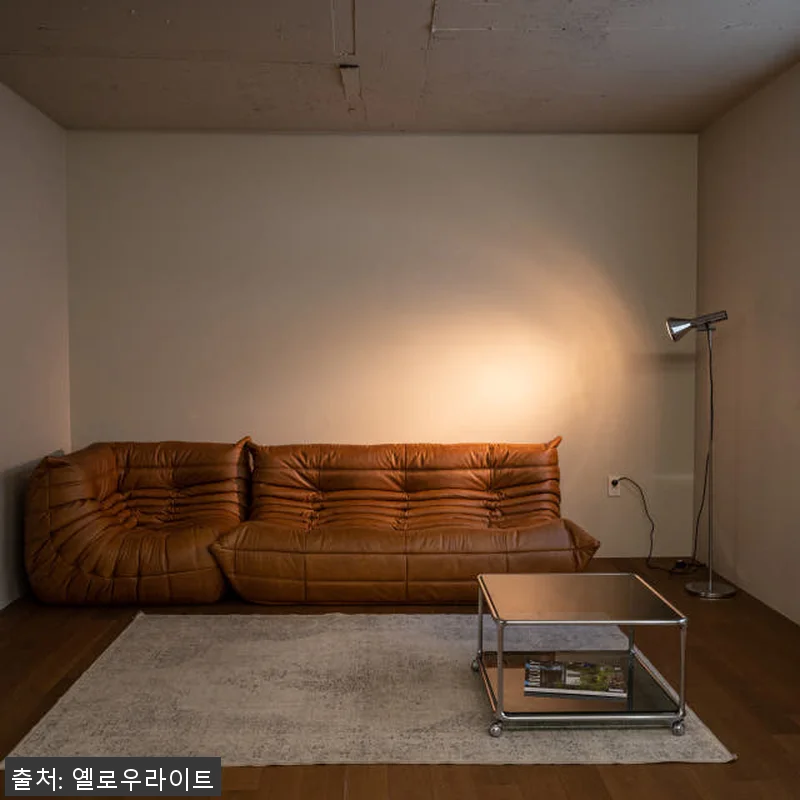 PH 17 코너 기본선택 천연면피 소 관련 이미지 2