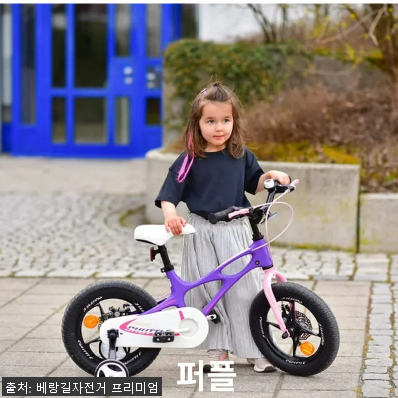 로얄베이비 스페이스 셔틀 18인치 네 관련 이미지 3