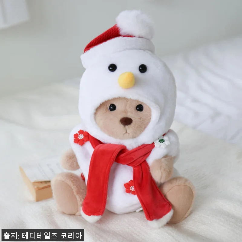 테디테일즈 크리스마스 홈파티 M 세트 관련 이미지 4