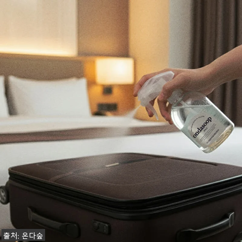 온다숲 포근포근해 국화꽃 살충제 1+ 관련 이미지 6