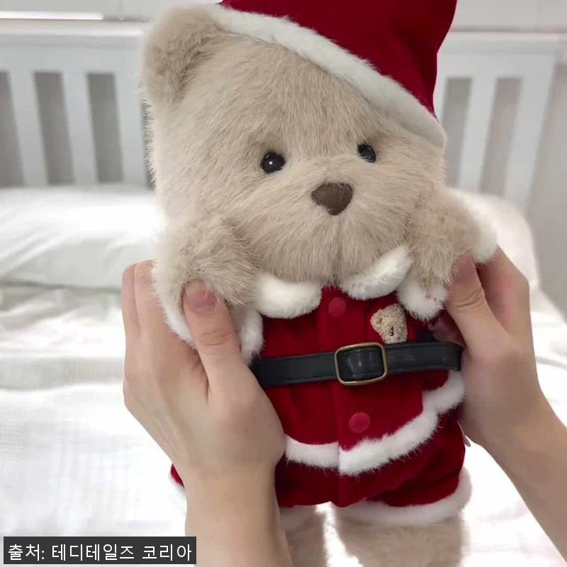 테디테일즈 크리스마스 홈파티 M 세트 관련 이미지 7