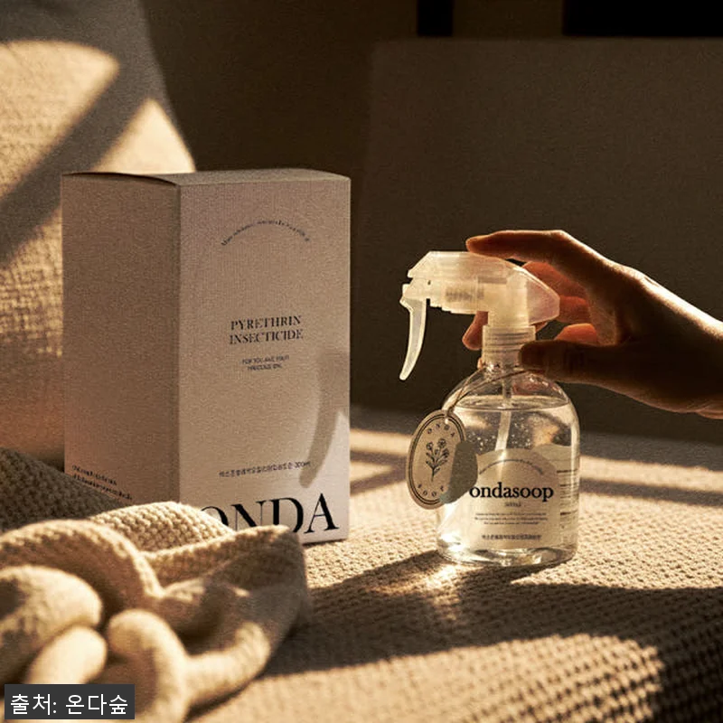 온다숲 포근포근해 국화꽃 살충제 1+ 관련 이미지 7