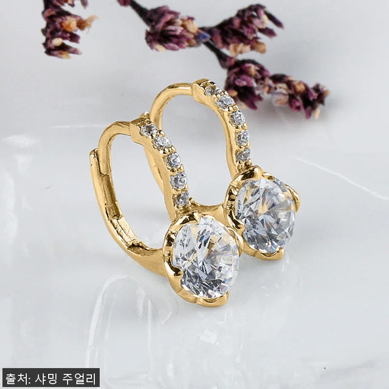 3부 다이아 귀걸이 천연 우신 G S 관련 이미지 9