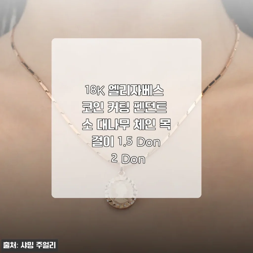 18K 엘리자베스 코인 커팅 펜던트 소 대나무 체인 목걸이 사용후기
