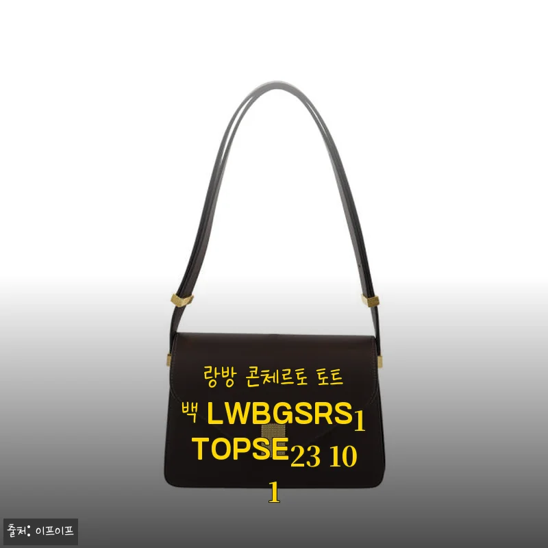 랑방 콘체르토 토트백 LWBGSRS1TOPSE23 101, 직접 사용해 본 고급스러운 매력