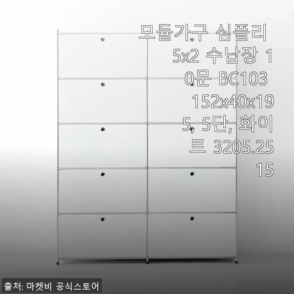 모듈가구 심플리 5x2 수납장 10문 BC103 사용후기와 솔직한 경험담