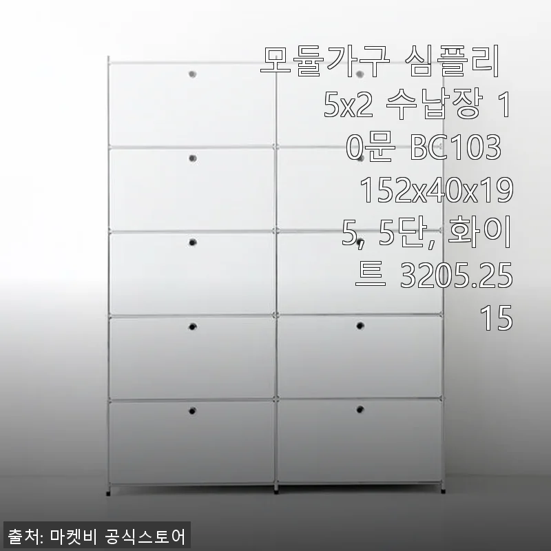 모듈가구 심플리 5x2 수납장 10문 BC103 사용후기와 솔직한 경험담