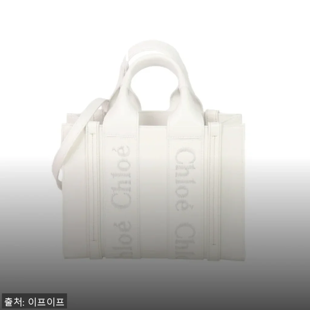 끌로에 우디 스몰 토트백 CHC23US397I60 101, 직접 사용해본 고급스러운 감성 가방