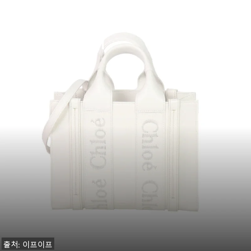 끌로에 우디 스몰 토트백 CHC23US397I60 101, 직접 사용해본 고급스러운 감성 가방