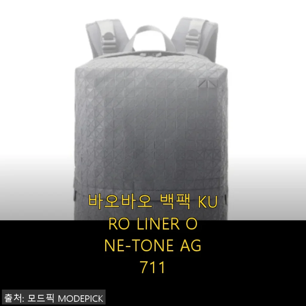 바오바오 백팩 KURO LINER ONE-TONE AG711 사용후기와 상세 소개