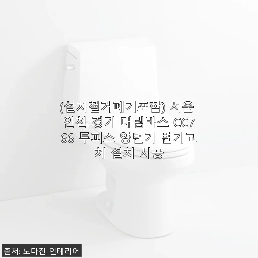서울 인천 경기 대림바스 CC766 투피스 양변기 설치 후기