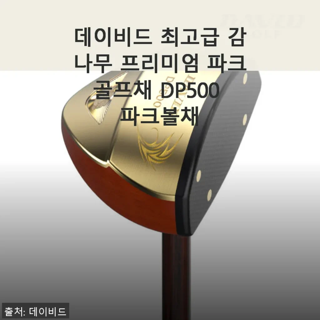 데이비드 최고급 감나무 프리미엄 파크골프채 DP500 사용후기: 부모님 선물로 딱 좋은 선택