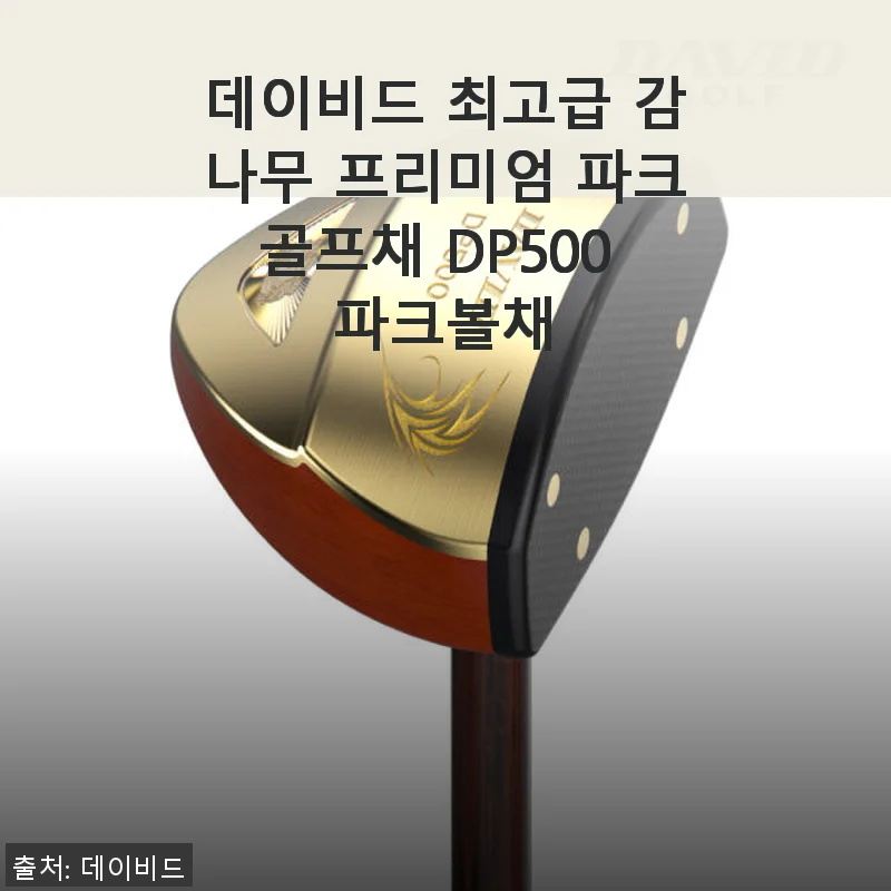 데이비드 최고급 감나무 프리미엄 파크골프채 DP500 사용후기: 부모님 선물로 딱 좋은 선택