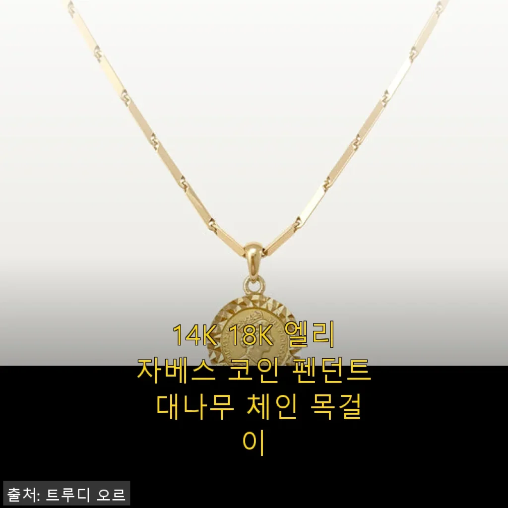 14K 18K 엘리자베스 코인 펜던트 대나무 체인 목걸이 사용후기