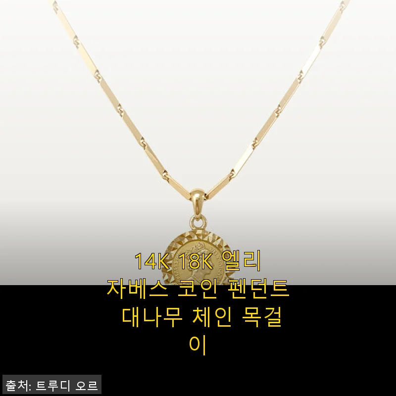 14K 18K 엘리자베스 코인 펜던트 대나무 체인 목걸이 사용후기