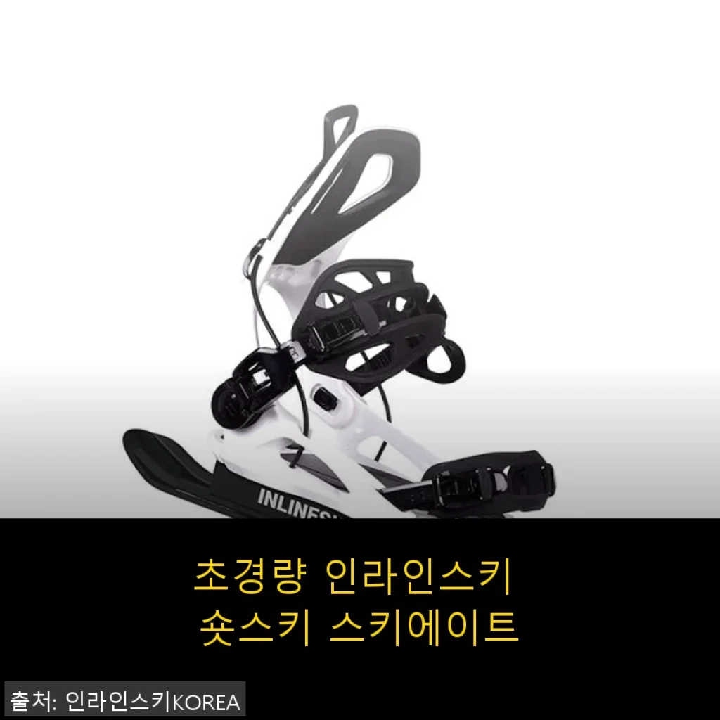 초경량 인라인스키 숏스키 스키에이트 사용 후기