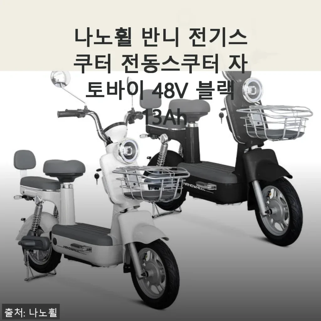 나노휠 반니 전기스쿠터 48V 블랙 13Ah 사용후기, 직접 타보니 만족스러운 선택