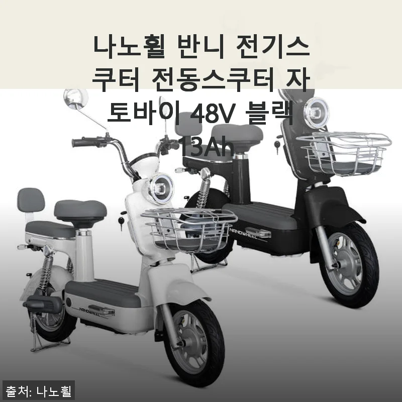 나노휠 반니 전기스쿠터 48V 블랙 13Ah 사용후기, 직접 타보니 만족스러운 선택