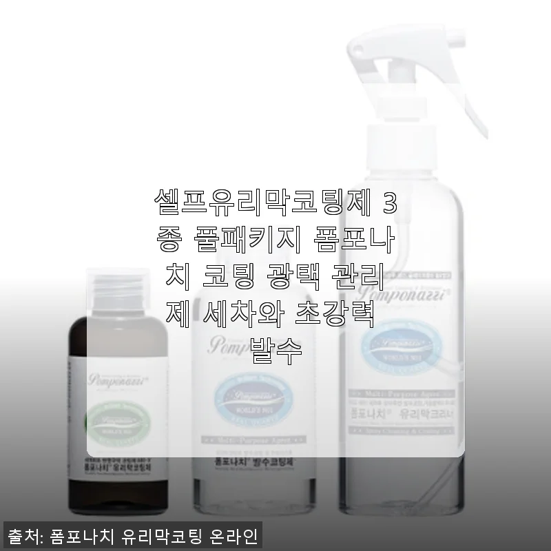 폼포나치 셀프유리막코팅제 3종 풀패키지 사용후기와 직접 경험담
