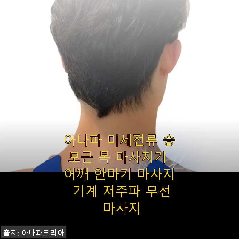 아나파 미세전류 승모근 목 마사지기 사용후기: 집과 사무실에서 느낀 편안함