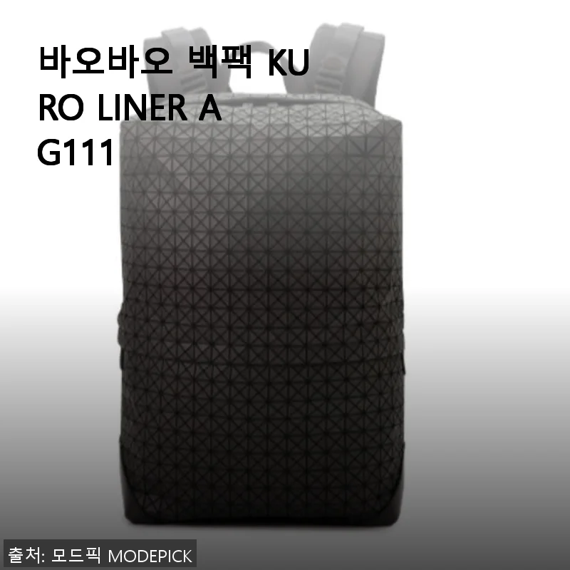 바오바오 백팩 KURO LINER AG111 사용후기: 세련된 디자인과 실용성의 완벽한 조화