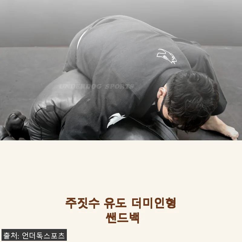 주짓수 유도 더미인형 쌘드백 사용후기와 상세 소개