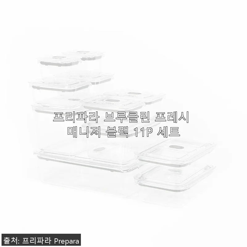 프리파라 브루클린 프레시 매니저 블랙 11P 세트 사용후기