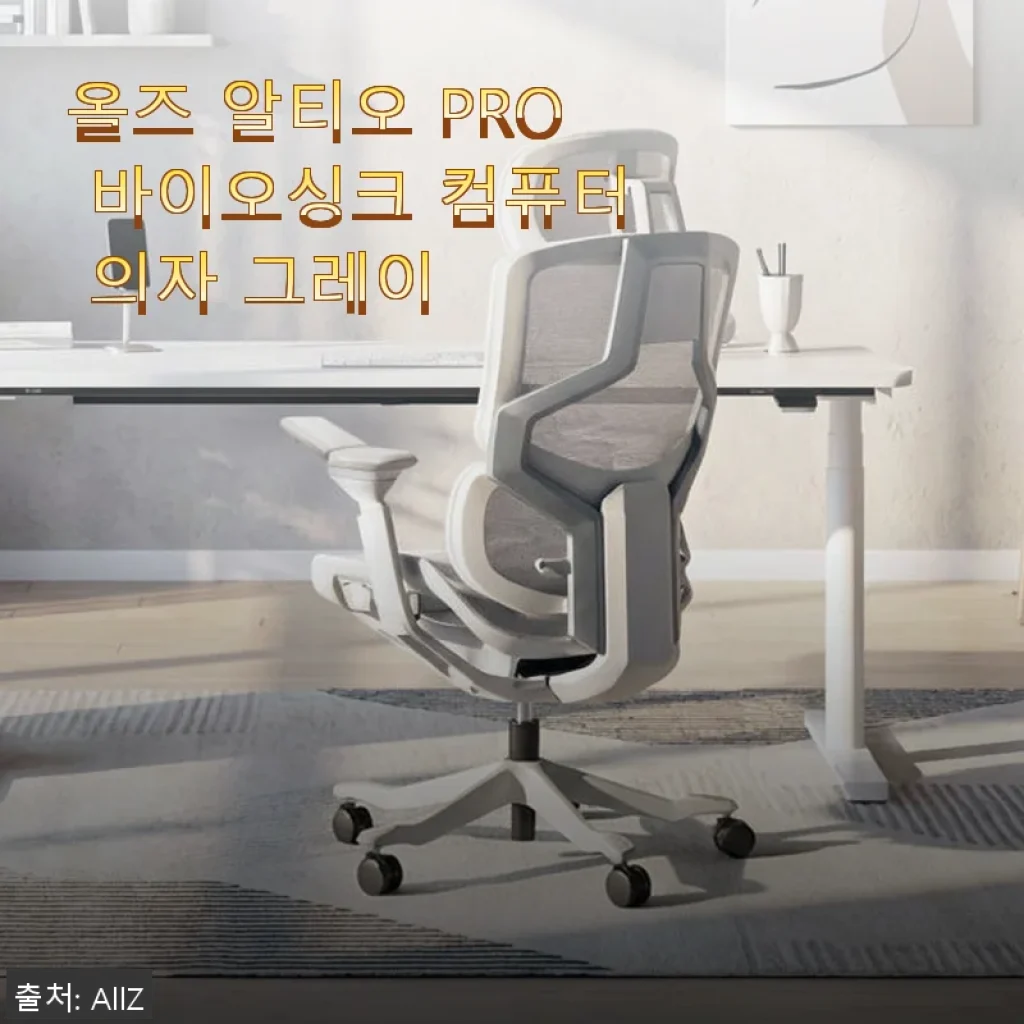올즈 알티오 PRO 바이오싱크 컴퓨터 의자 그레이 사용후기