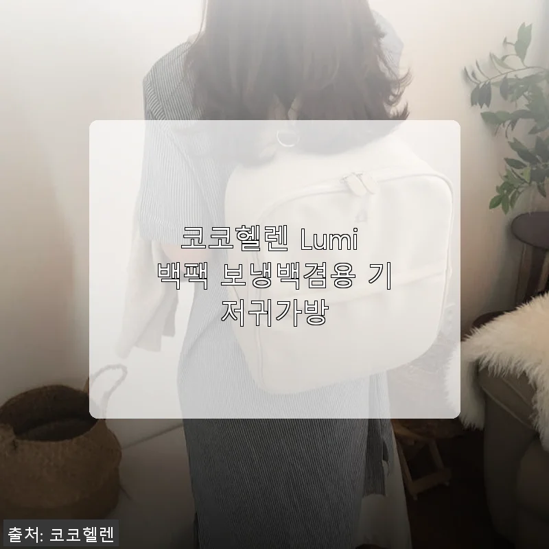 코코헬렌 Lumi 백팩 보냉백겸용 기저귀가방 사용후기