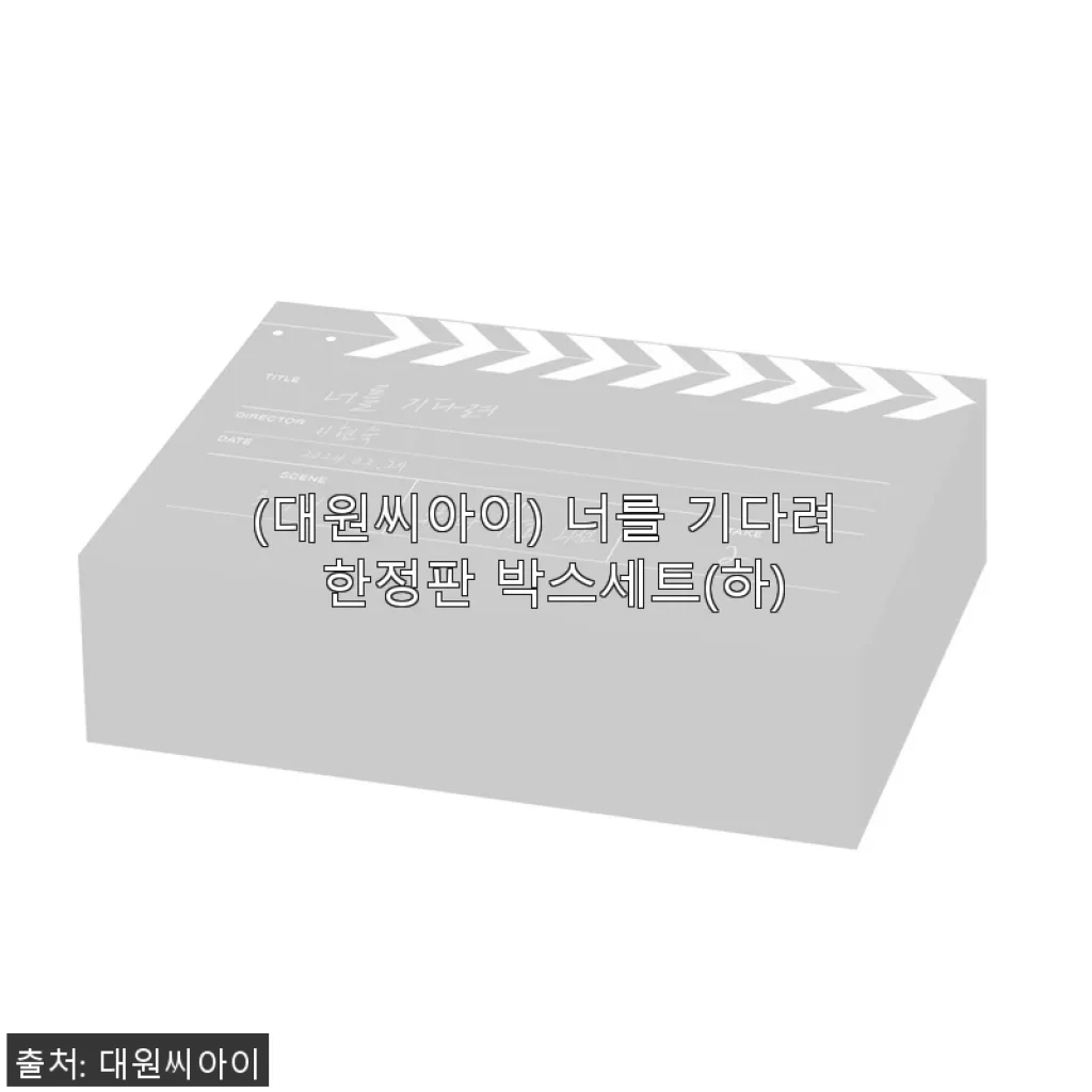 대원씨아이 ‘너를 기다려 한정판 박스세트(하)’ 사용 후기와 구매 경험