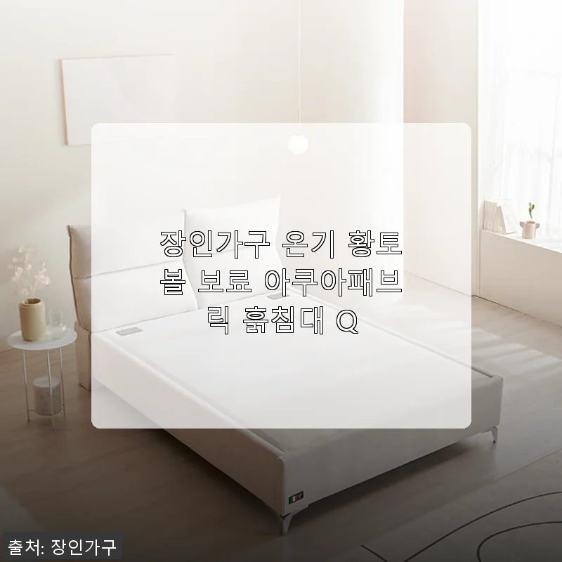 장인가구 온기 황토볼 보료 아쿠아패브릭 흙침대 Q 사용후기