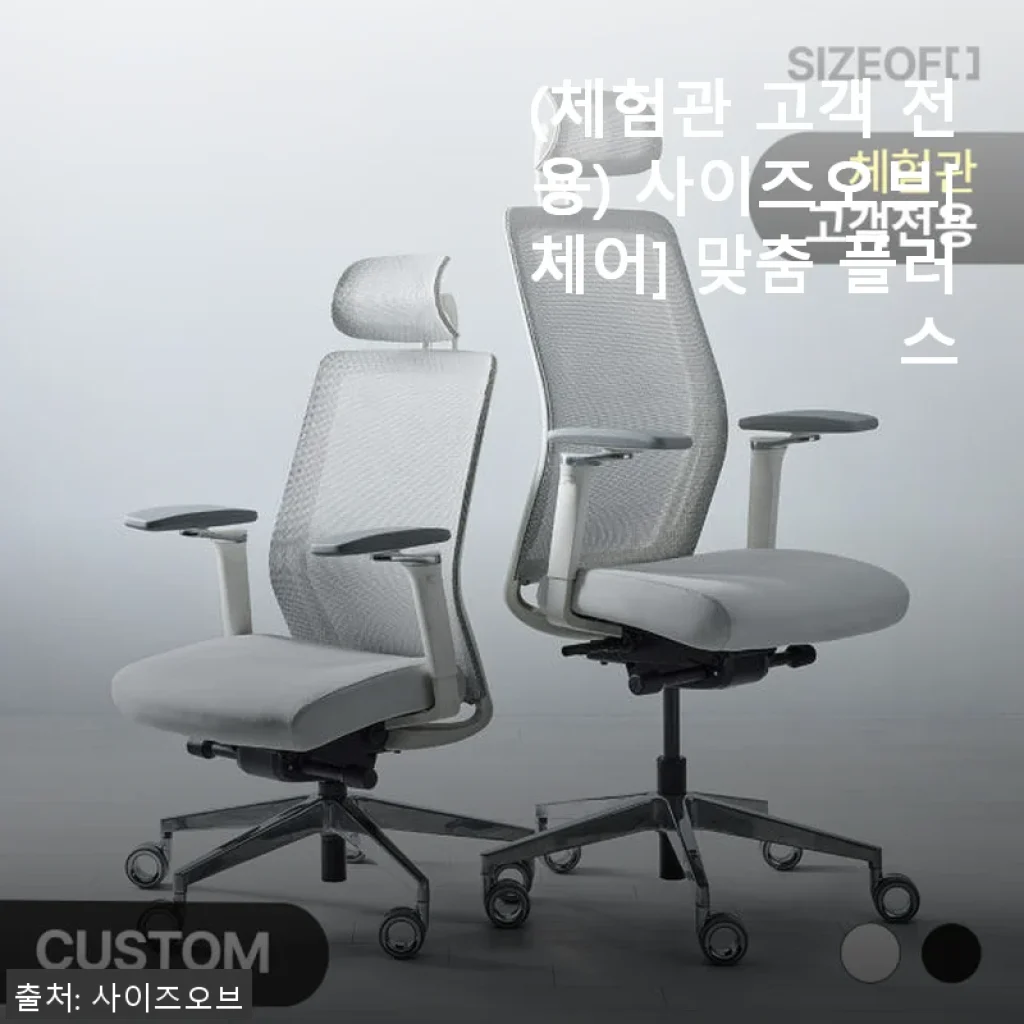 사이즈오브 체어 맞춤 플러스 사용후기: 내 체형에 딱 맞는 의자 경험기
