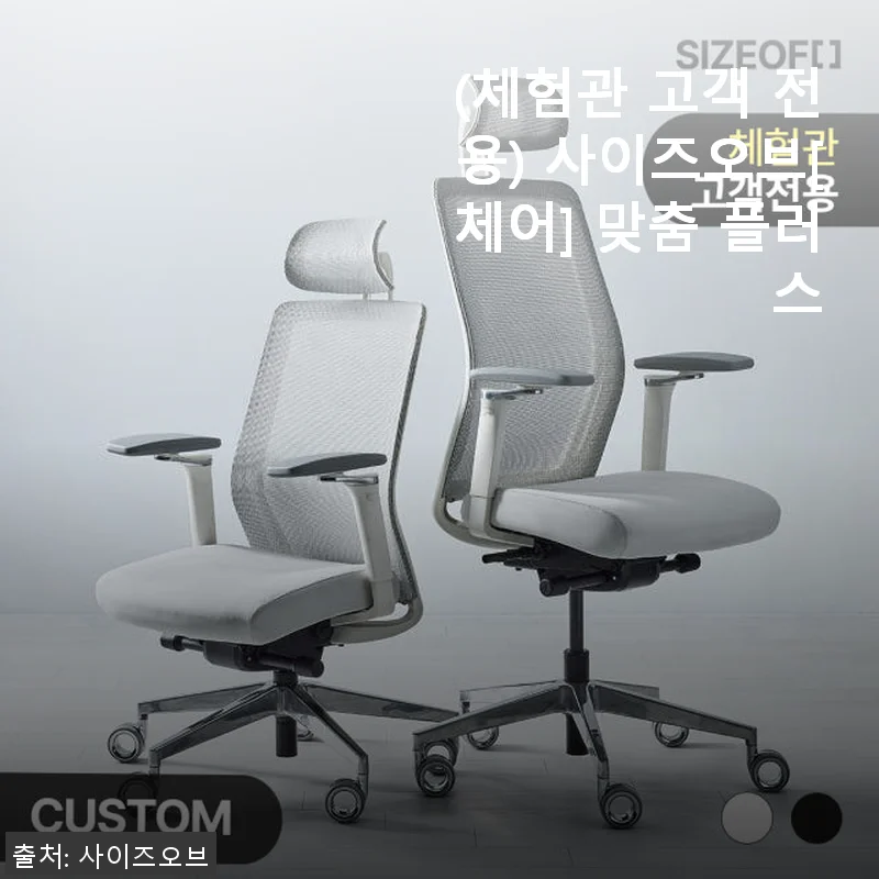 사이즈오브 체어 맞춤 플러스 사용후기: 내 체형에 딱 맞는 의자 경험기