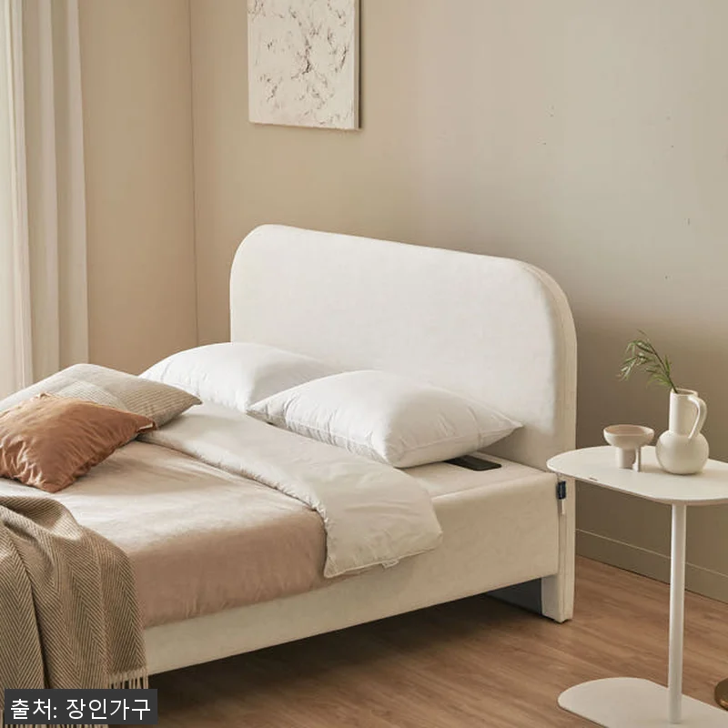 장인가구 보란 황토볼 온열 스프링 보 관련 이미지 1