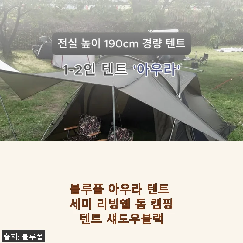 블루폴 아우라 텐트 세미 리빙쉘 돔 캠핑텐트 섀도우블랙 사용후기