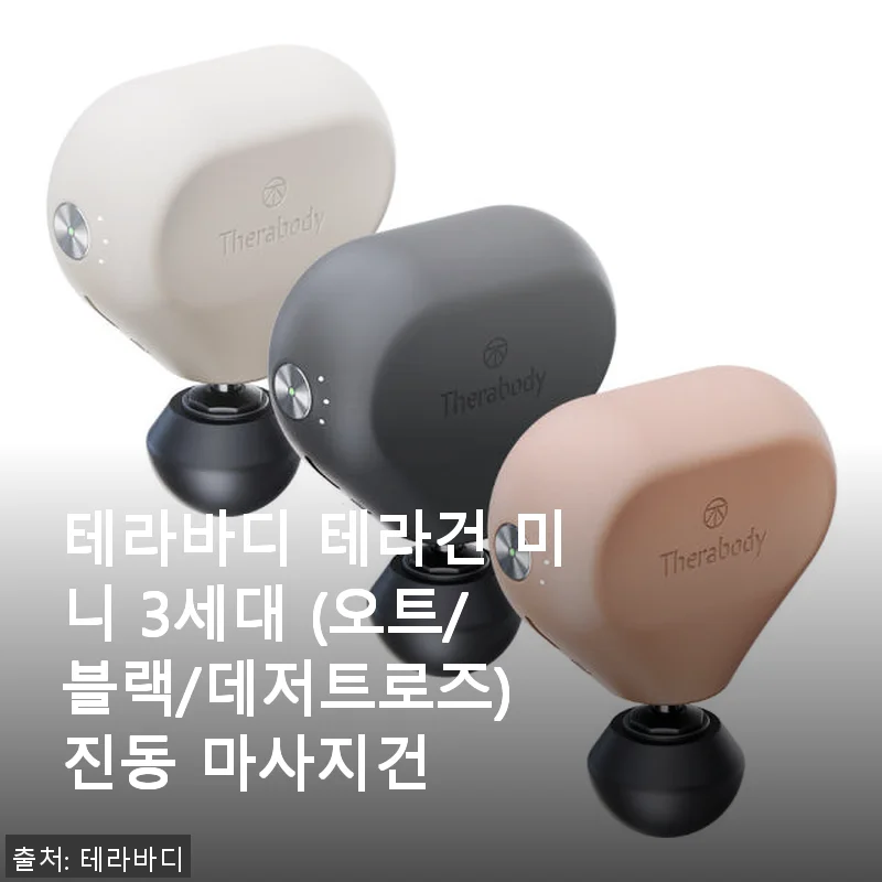 테라바디 테라건 미니 3세대 진동 마사지건 사용후기