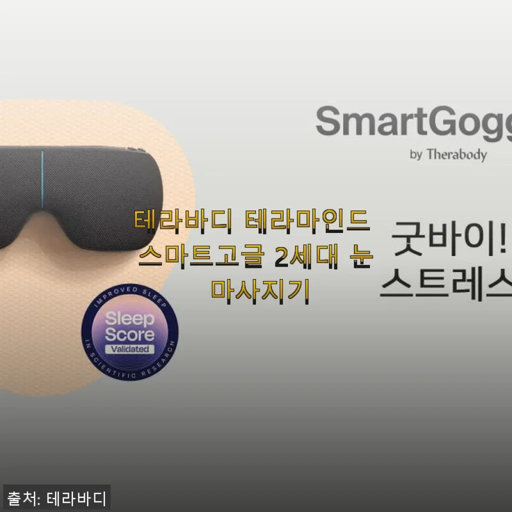 테라바디 테라마인드 스마트고글 2세대 눈 마사지기 사용후기