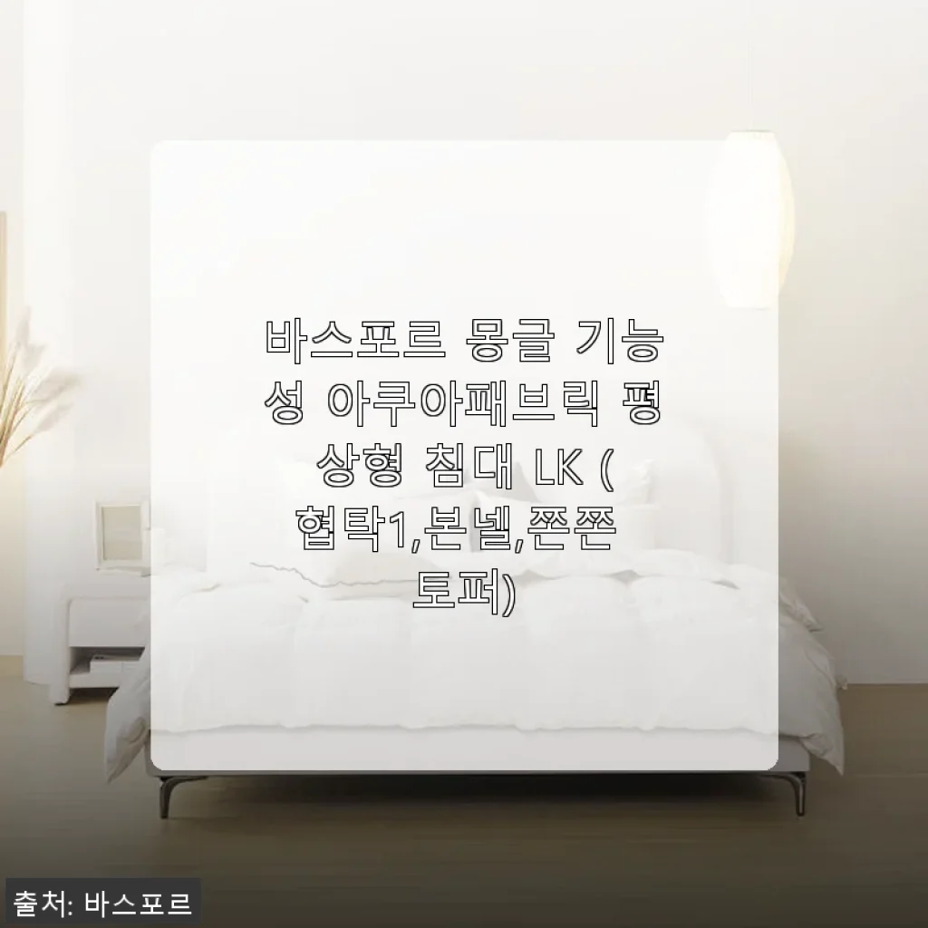 바스포르 몽글 기능성 아쿠아패브릭 평상형 침대 LK 사용 후기와 제품 소개