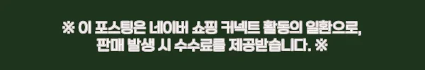 스위스 인터라켄 래프팅 체험, 취리히·루체른 출발 전 꼭 확인한 예약 핵심 후기 5 이해관계문구